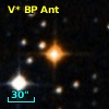 V* BP Ant