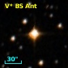 V* BS Ant
