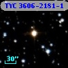 TYC 3606-2181-1