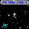 TYC 3606-2186-1