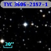TYC 3606-2187-1