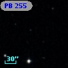PB   255