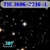 TYC 3606-2216-1