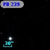 PB   239