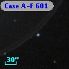 Case A-F  601