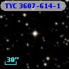 TYC 3607-614-1