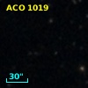 ACO  1019