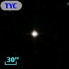TYC 1975-61-1