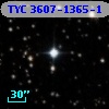TYC 3607-1365-1