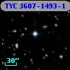 TYC 3607-1493-1