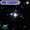 HD 236882