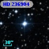 HD 236904