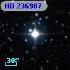 HD 236907