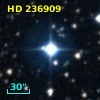 HD 236909