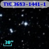 TYC 3683-1441-1