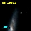 SN 1961L