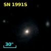 SN 1991S