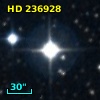 HD 236928