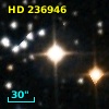 HD 236946