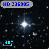 HD 236905