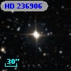 HD 236906