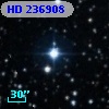 HD 236908