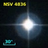 NSV  4836
