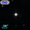 TYC  844-282-1