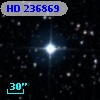 HD 236869