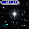 HD 236877