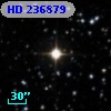 HD 236879
