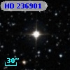HD 236901