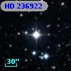 HD 236922