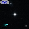 TYC  838-441-1