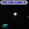 TYC  249-1286-1