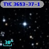 TYC 3683-37-1