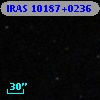 IRAS 10187+0236