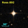 G  53-41