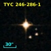 TYC  246-286-1