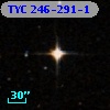 TYC  246-291-1