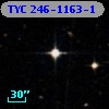 TYC  246-1163-1