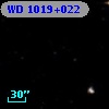 WD 1019+022