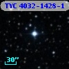 TYC 4032-1428-1