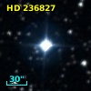 HD 236827