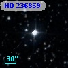 HD 236859