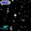 NGC  7209    19