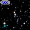NGC  7209    22