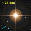 *  24 Sex