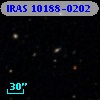 IRAS 10188-0202