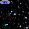 NGC  7209    48
